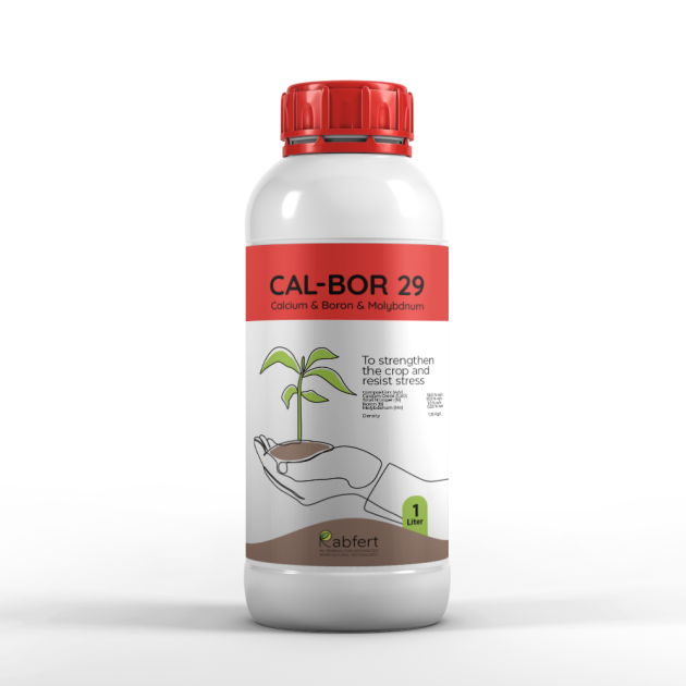 RabFert CAL-BOR 29