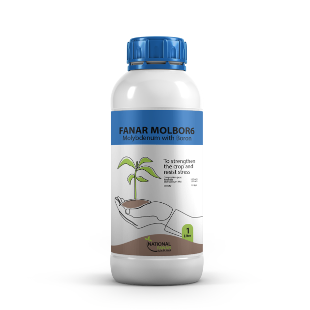 FANAR MOLBOR6