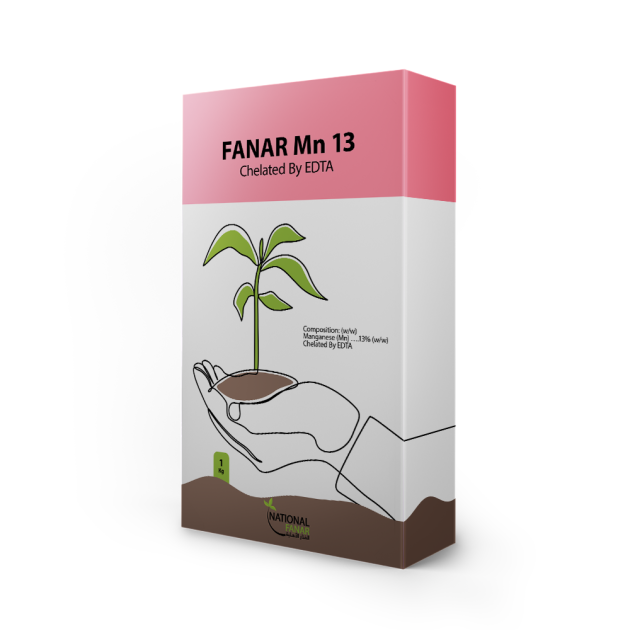 FANAR Mn 13