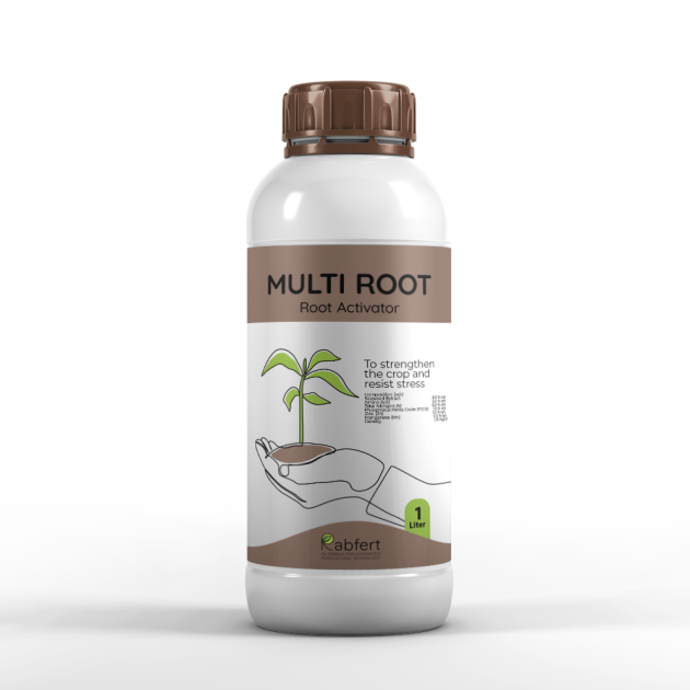 RabFert MULTI ROOT